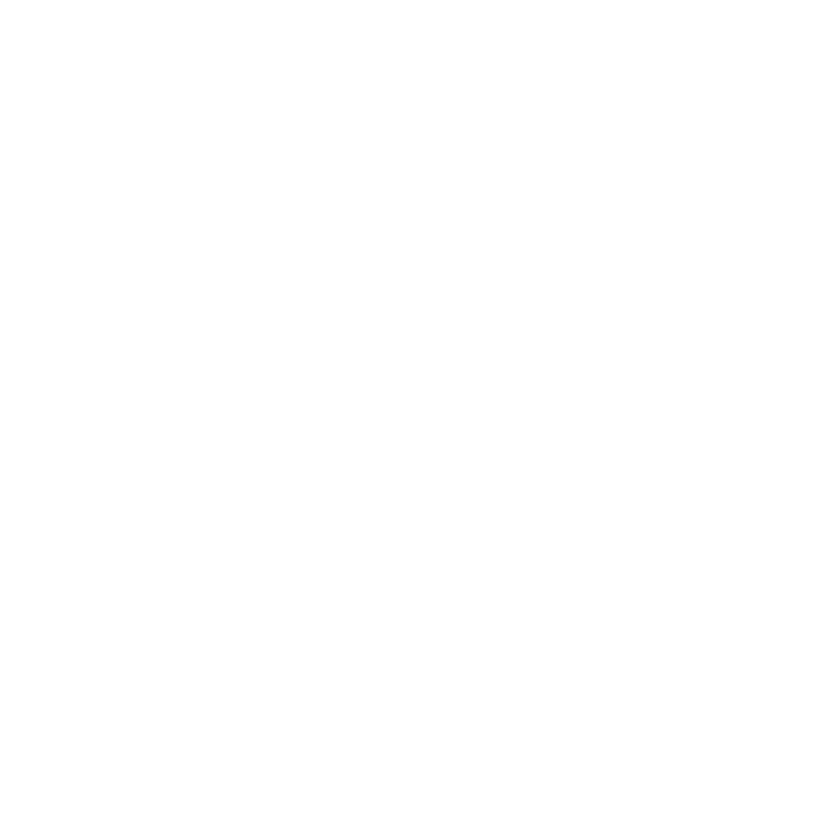 Logo APIX