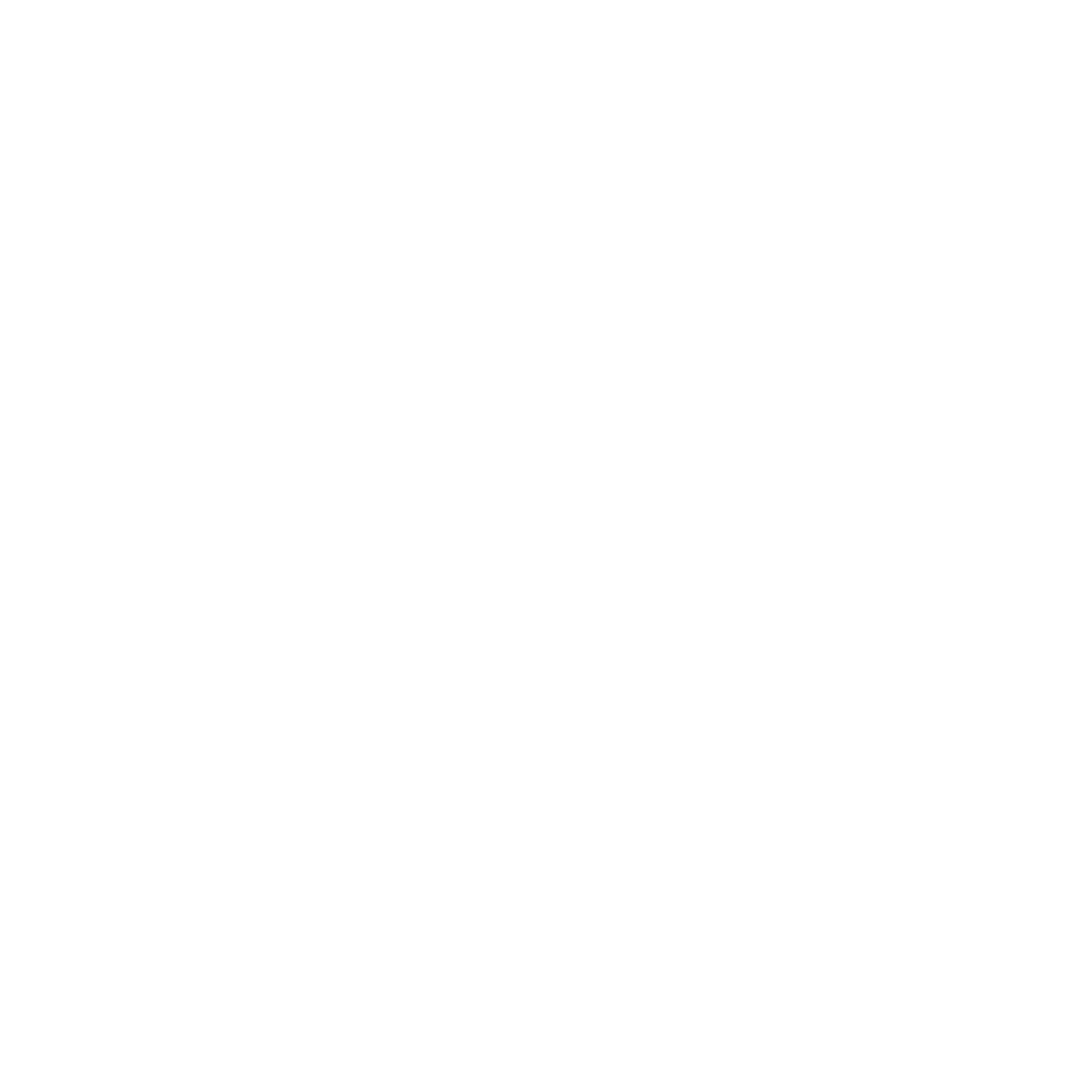 Logo FIIS